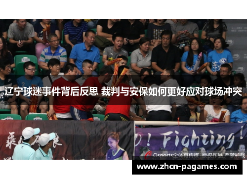 辽宁球迷事件背后反思 裁判与安保如何更好应对球场冲突