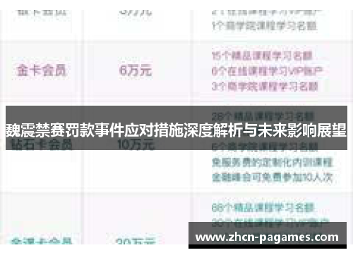 魏震禁赛罚款事件应对措施深度解析与未来影响展望